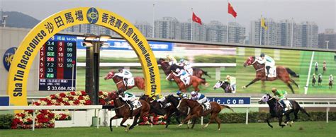 hong kong horse race odds data|Horse Racing .